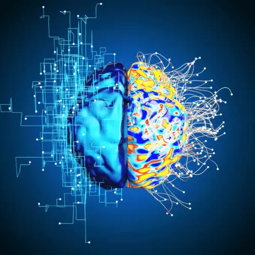 Science Behind Neuro Energizer